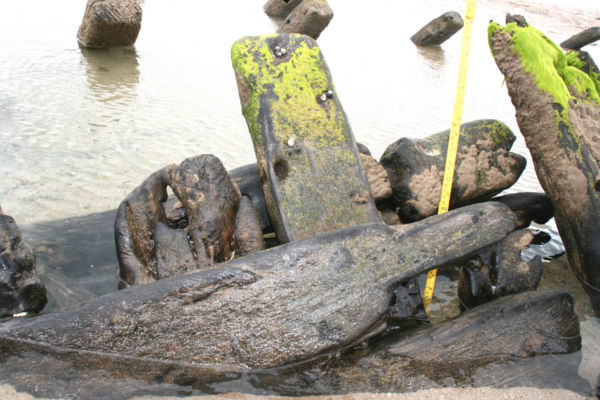A close-up of the shipwreck