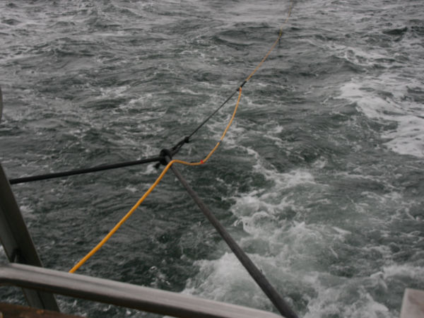 Thumbnail - A bungee line acts as an excellent shock absorber when towing a fish